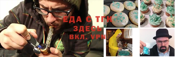 индика Карпинск