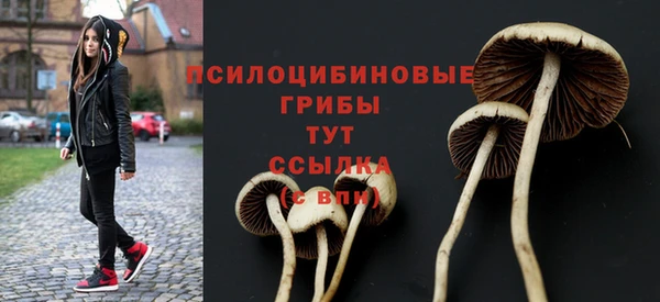 ALPHA-PVP Киреевск