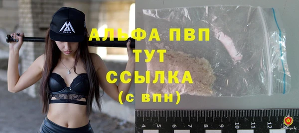 индика Карпинск