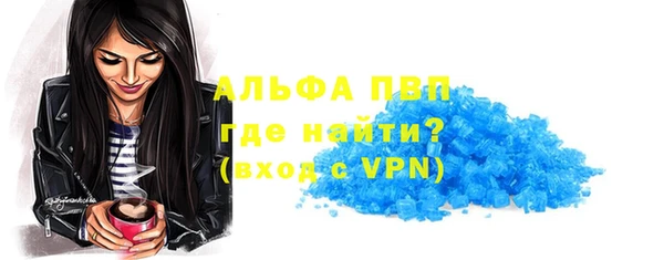 индика Карпинск