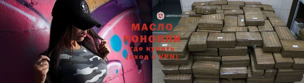 индика Карпинск