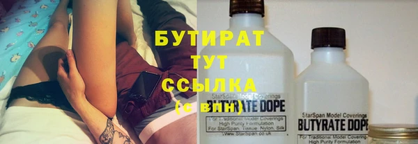 индика Карпинск