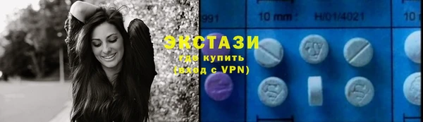 индика Карпинск