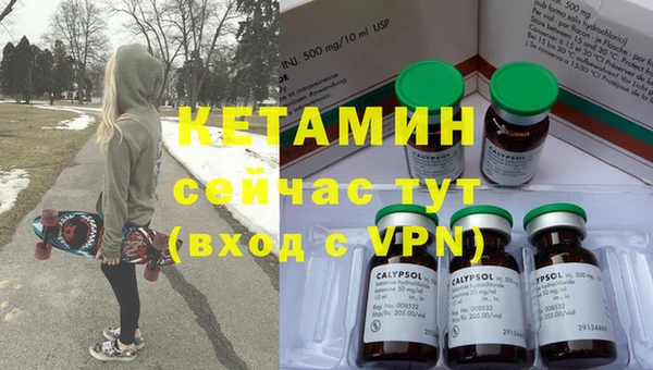 индика Карпинск