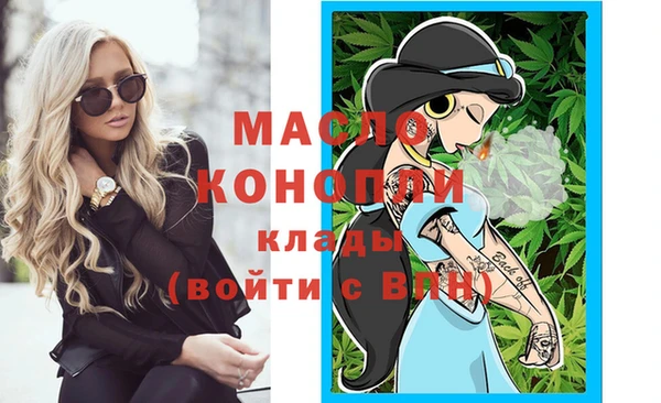 индика Карпинск