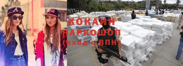 индика Карпинск