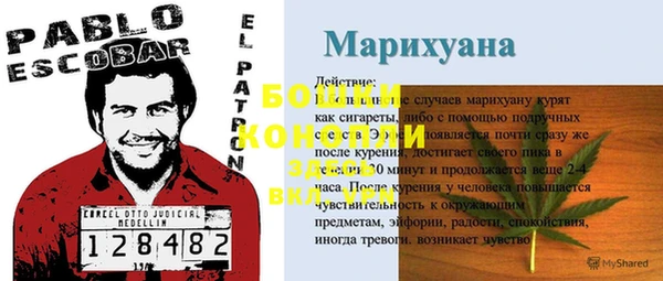 трава Касимов