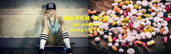 индика Карпинск