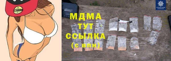 индика Карпинск